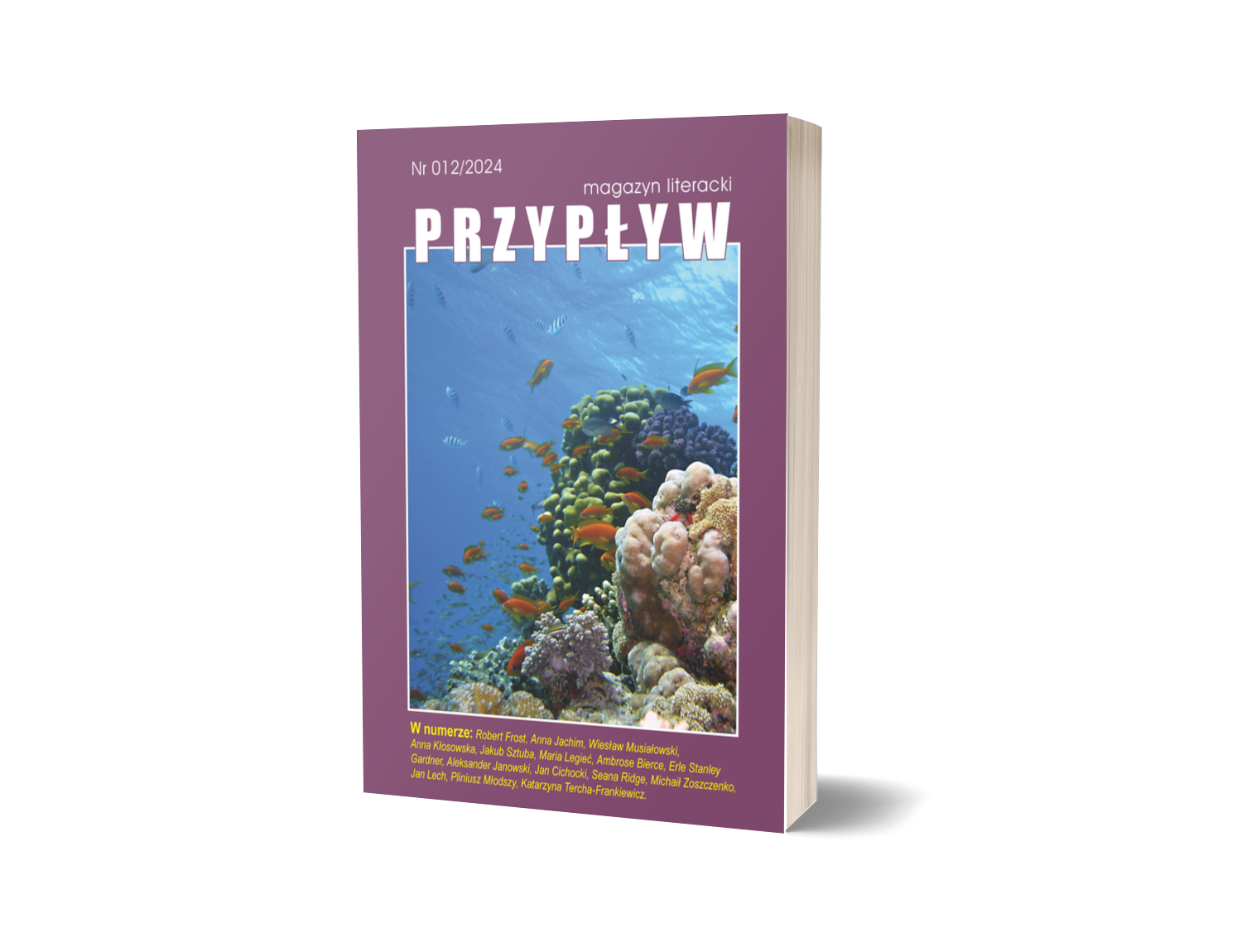 Przypływ nr 12