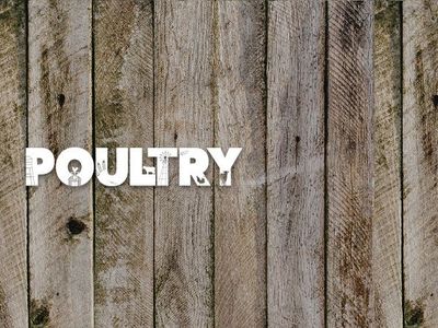 Poultry