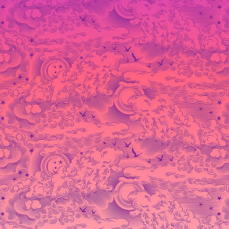 Free Spirit Daydreamer Tula Pink Little Fluffy Clouds Dragonfruit