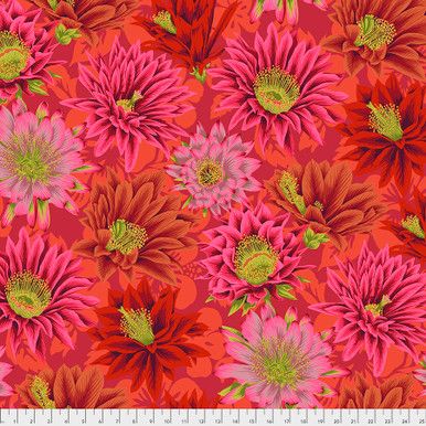 Free Spirit Kaffe Fassett Classics Cactus Flower Red