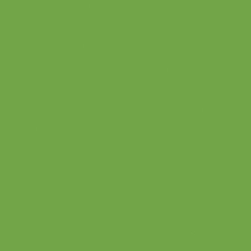Benartex Superior Solids Apple Green 43