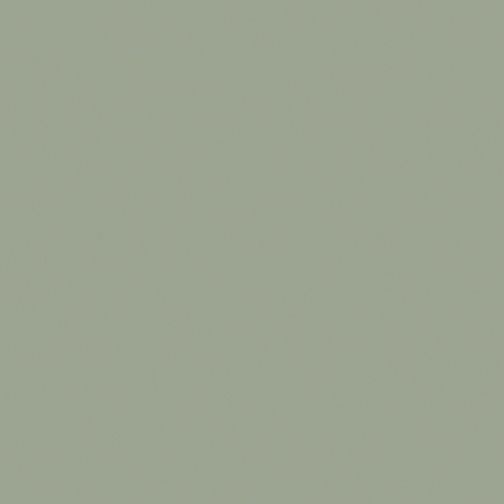 Benartex Superior Solids Sage 41