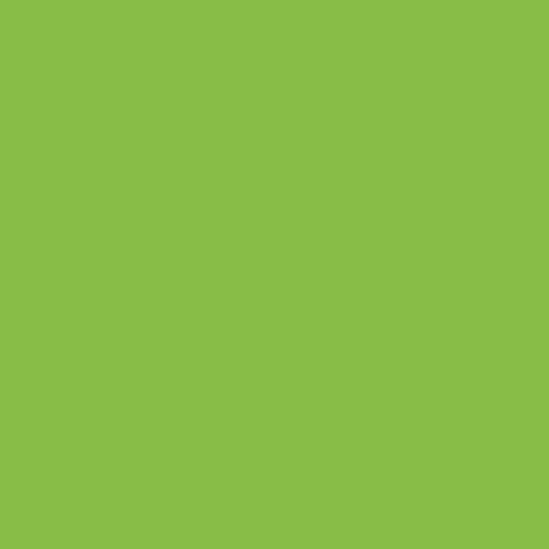 Benartex Superior Solids Lime 42