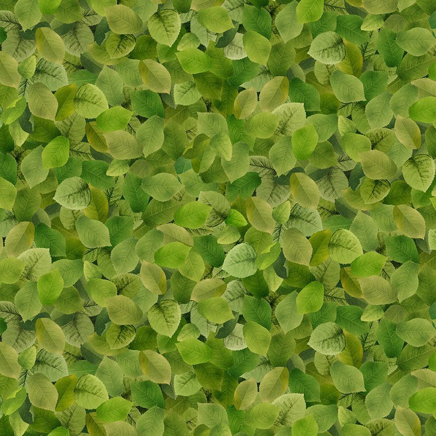 Timeless Treasures Rose CD2209 Green