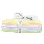 Michael Miller Spring Shine Fairy Frost 10 Fat Quarter Bundle