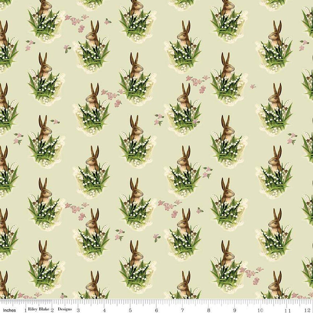 Riley Blake Spring Time   Bunnies Cd12812 Fern