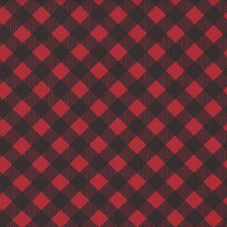 Benartex Chillin &amp; Grillin Gingham Check Red/Black
