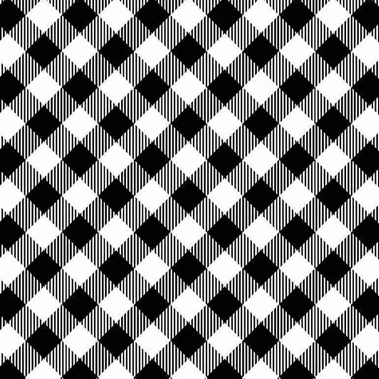 Timeless Treasures Gingham C8783 Black