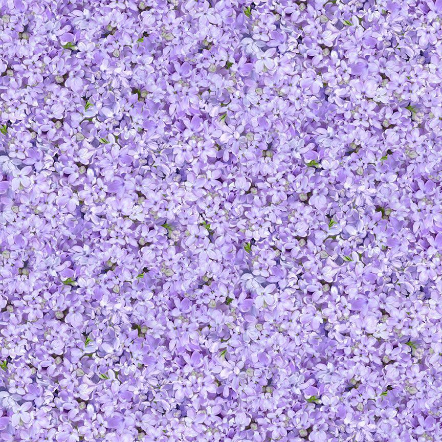 Timeless Treasures Fleur CD2372 Lilac