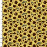 3 Wishes Locally Grown Sunflower Field