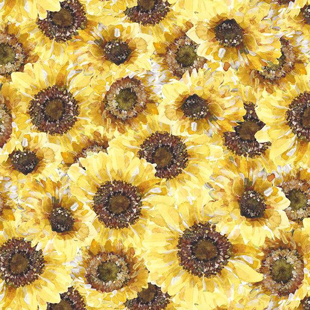 Wilmington Sunflower Sweet 17792 552