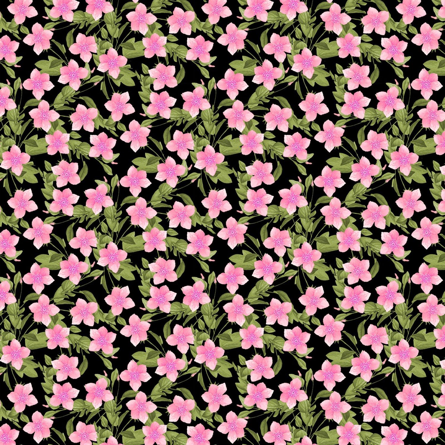 Wilmington In Bloom 33884 937