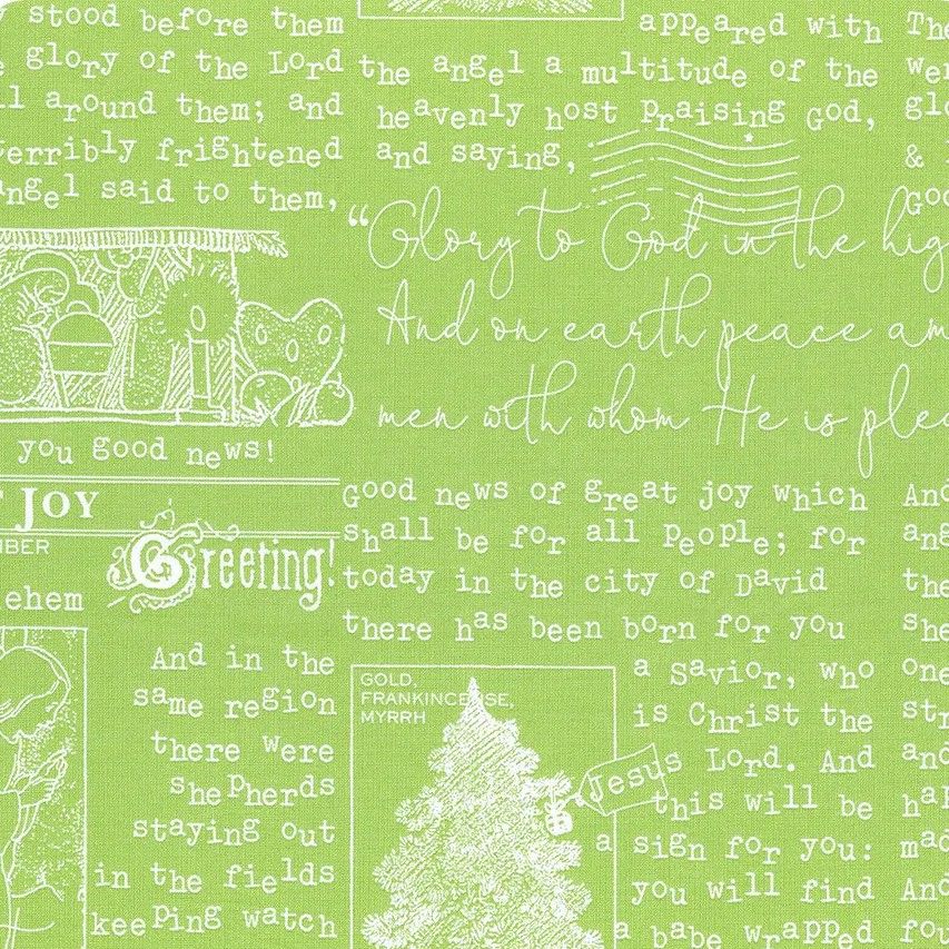 Riley Blake All About Christmas C10795 Green