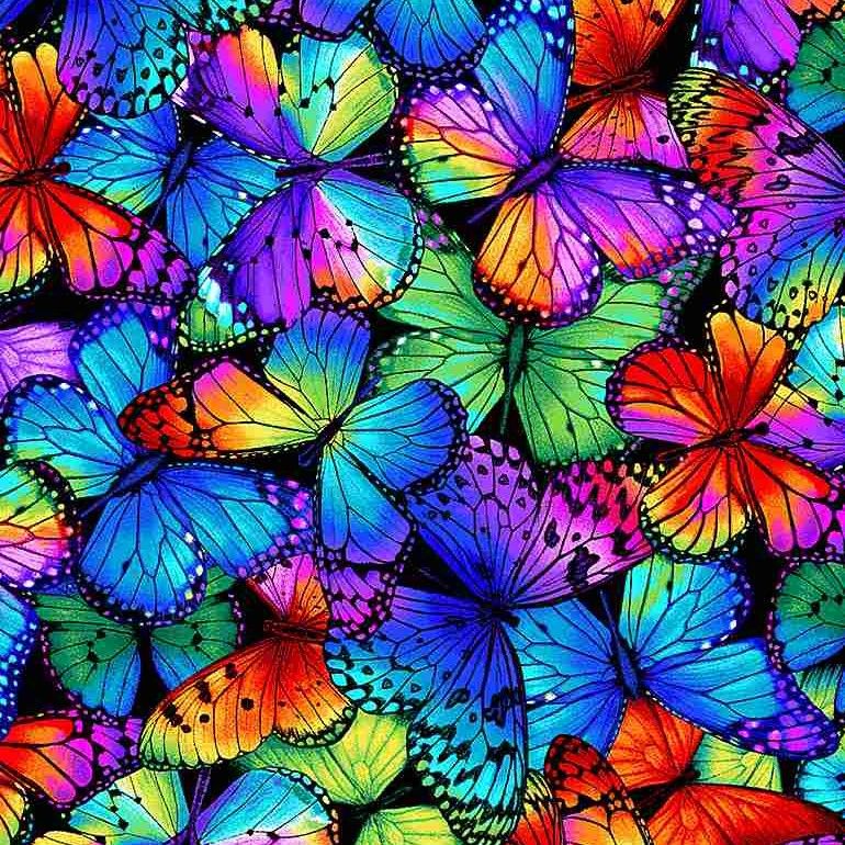 Timeless Treasures Butterfly Magic CD8531 Multi