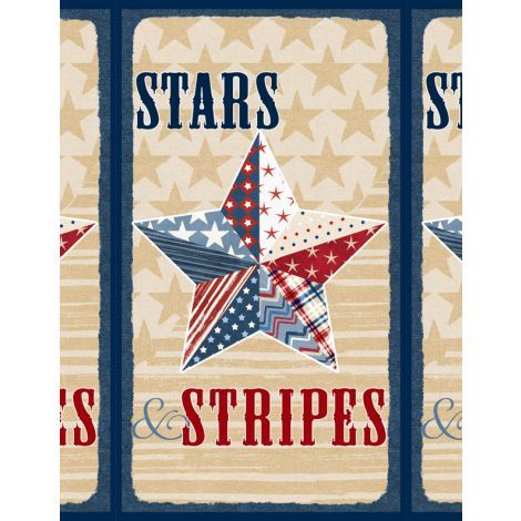Wilmington Stars Of Valor Panel 30081 234