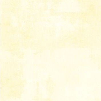 Wilmington Dry Brush 89205 500
