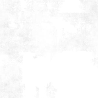 Wilmington Dry Brush 89205 100