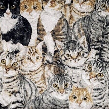 Clothworks Cats The Way I Like It Y2318-5 Light Gray