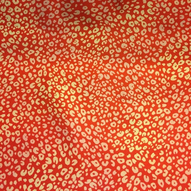 Quilting Treasures Fabric Follies 1649-25763-R