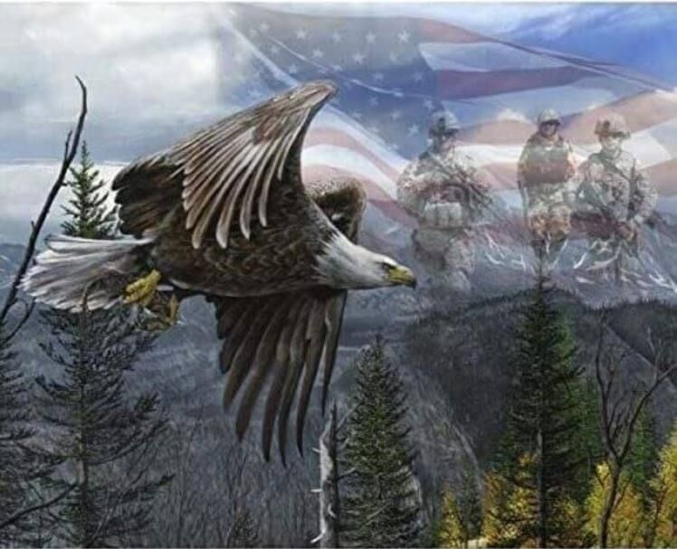 David Textiles Free Like An Eagle Panel BW-0099-7C 1 Multi