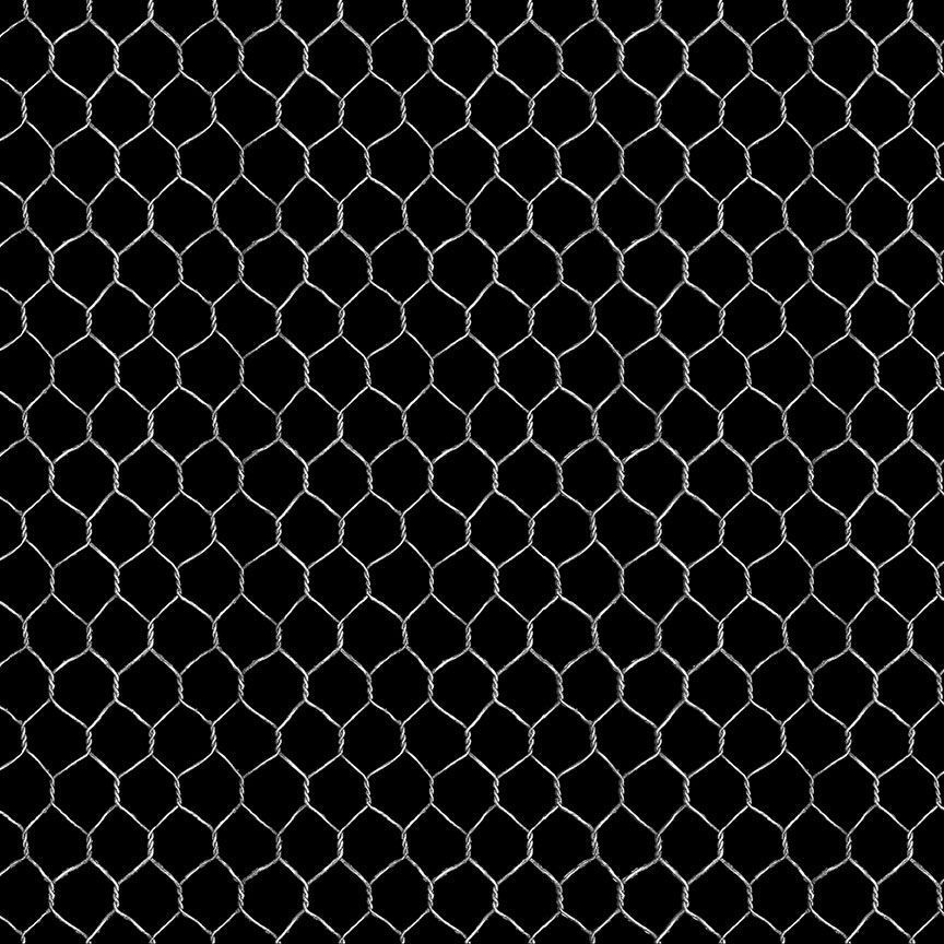 Timeless Treasures Dona CD3909 Black
