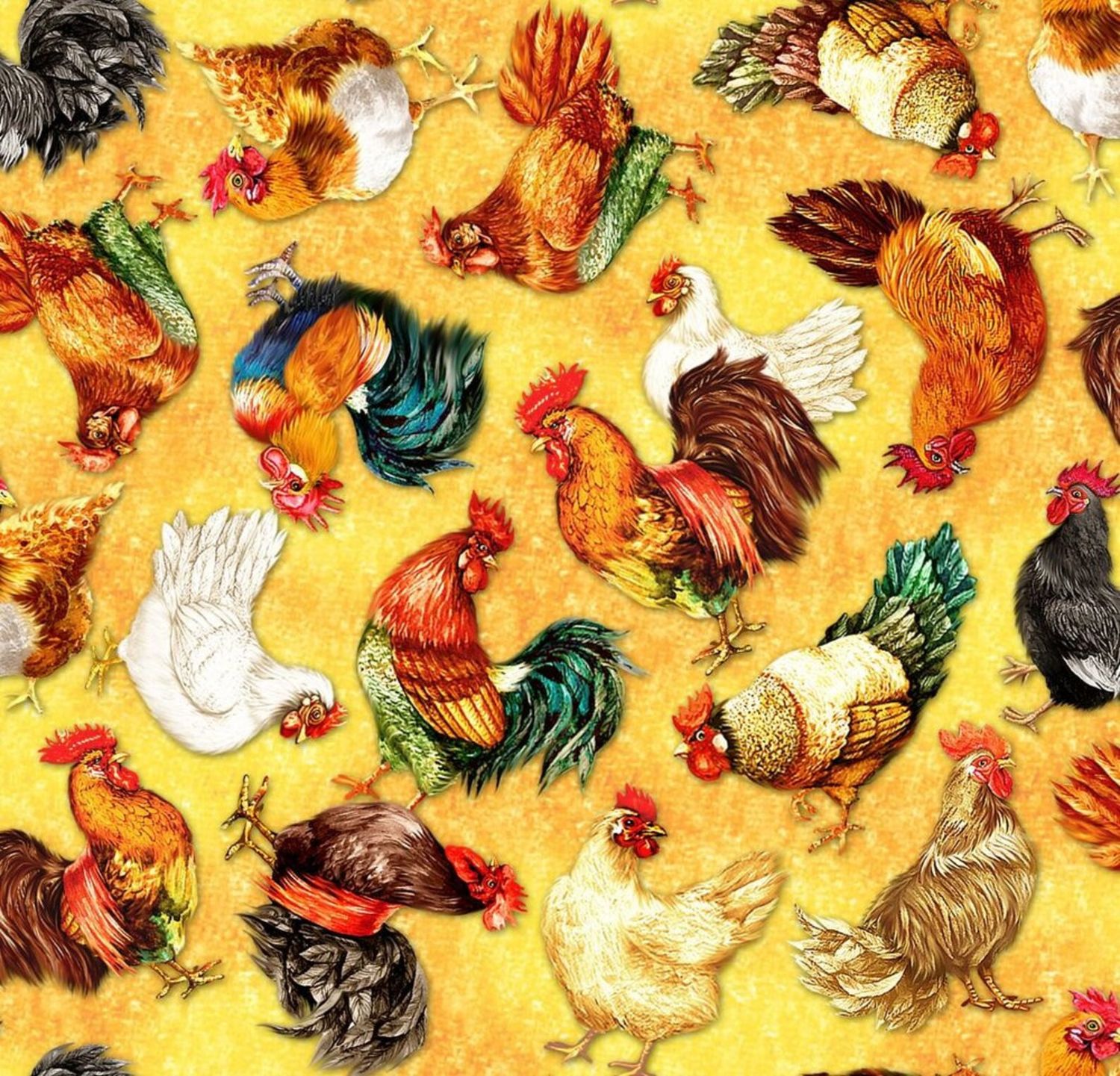 Oasis Fabrics Lay An Egg Chickens 59-5781