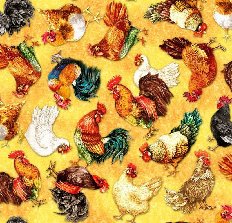 Oasis Fabrics Lay An Egg Chickens 59-5781