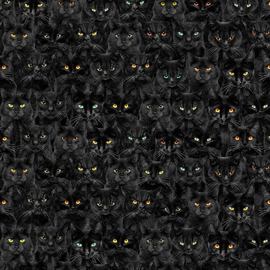 Timeless Treasures Cat CD1831 Black