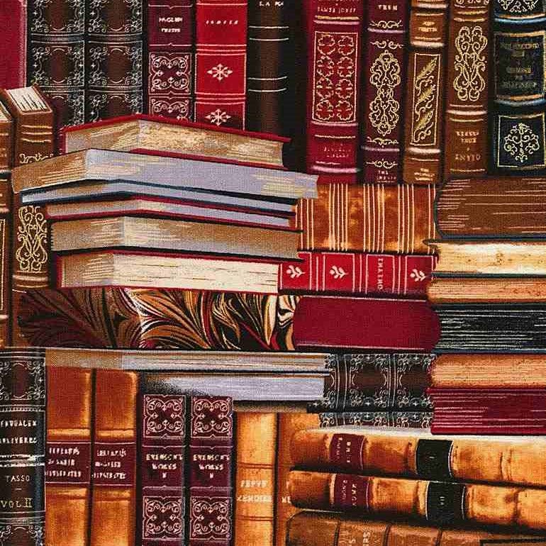 Timeless Treasures Library CM8214 Multi