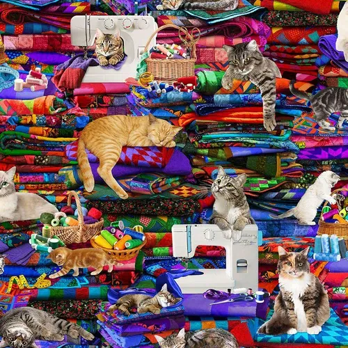 Timeless Treasures Cat CD3080 Multi