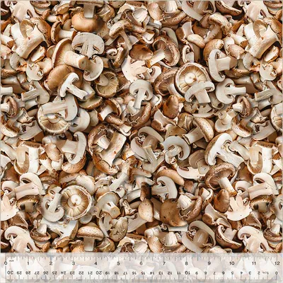 Windham Fabrics A La Carte 54403D-1