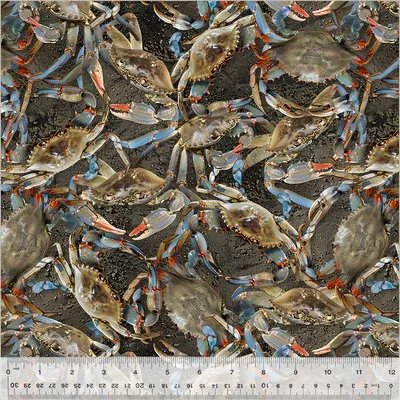 Windham Fabrics A La Carte 54404D-1
