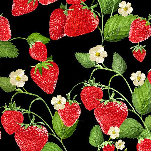 Benartex Strawberry Fields Forever Strawberry Patch Black