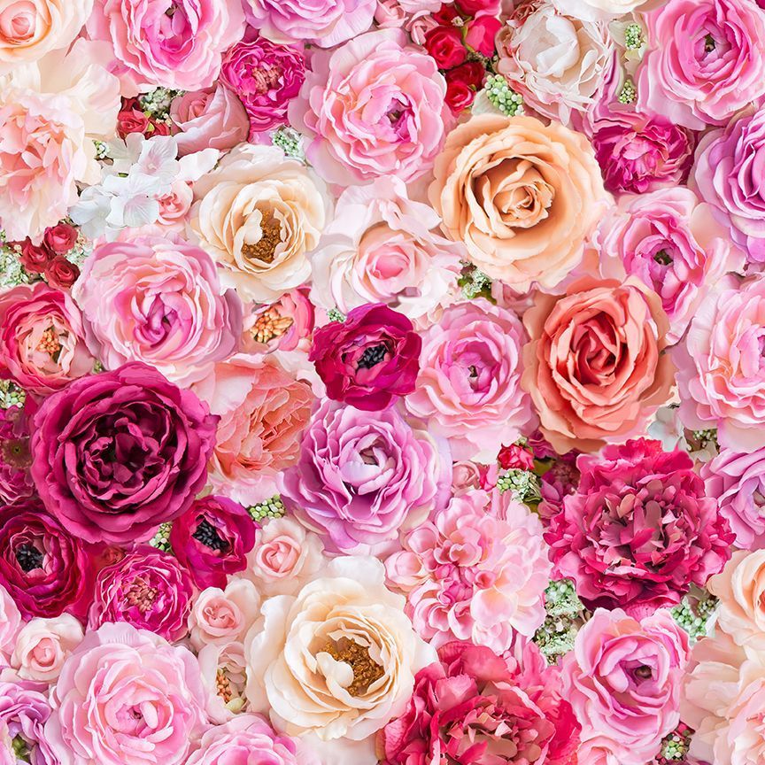Timeless Treasures Rose CD3140 Multi