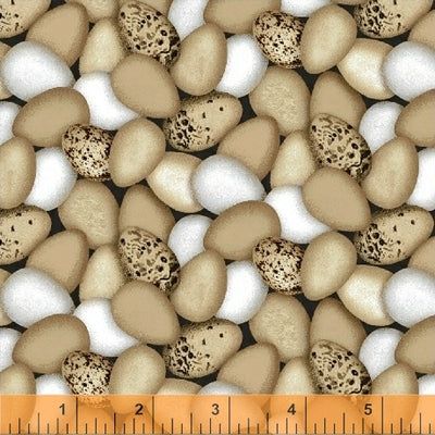 Windham Fabrics Early Bird 51399-1