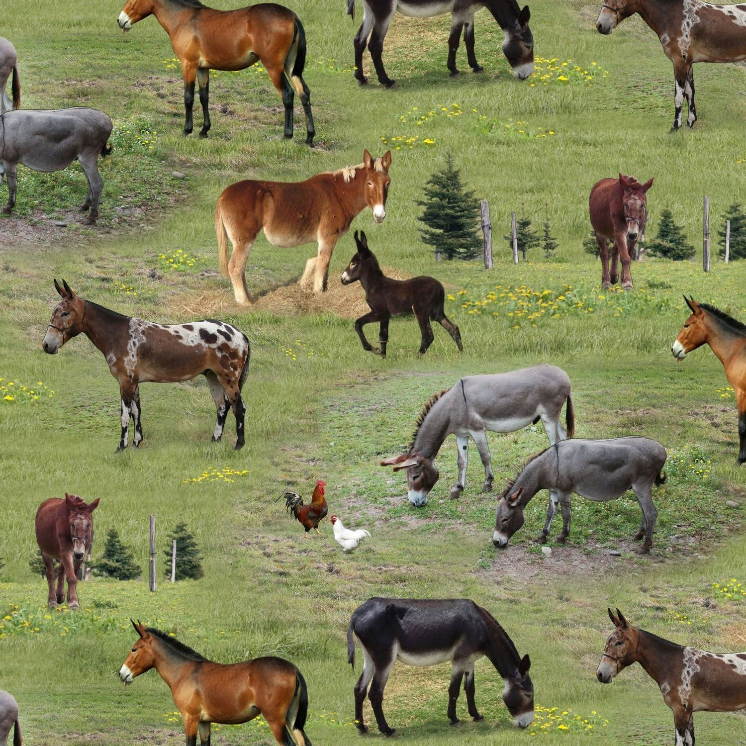 Elizabeth&#39;s Studio Farm Animals 506Green