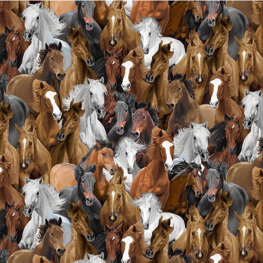 Timeless Treasures Wild Horses Horse CD3484 Multi