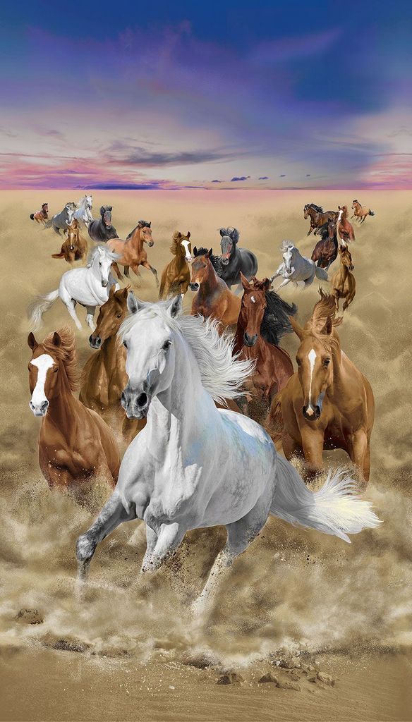 Timeless Treasures Wild Horses Panel CD3482 Multi