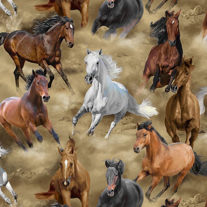 Timeless Treasures Wild Horses Horse CD3483 Multi