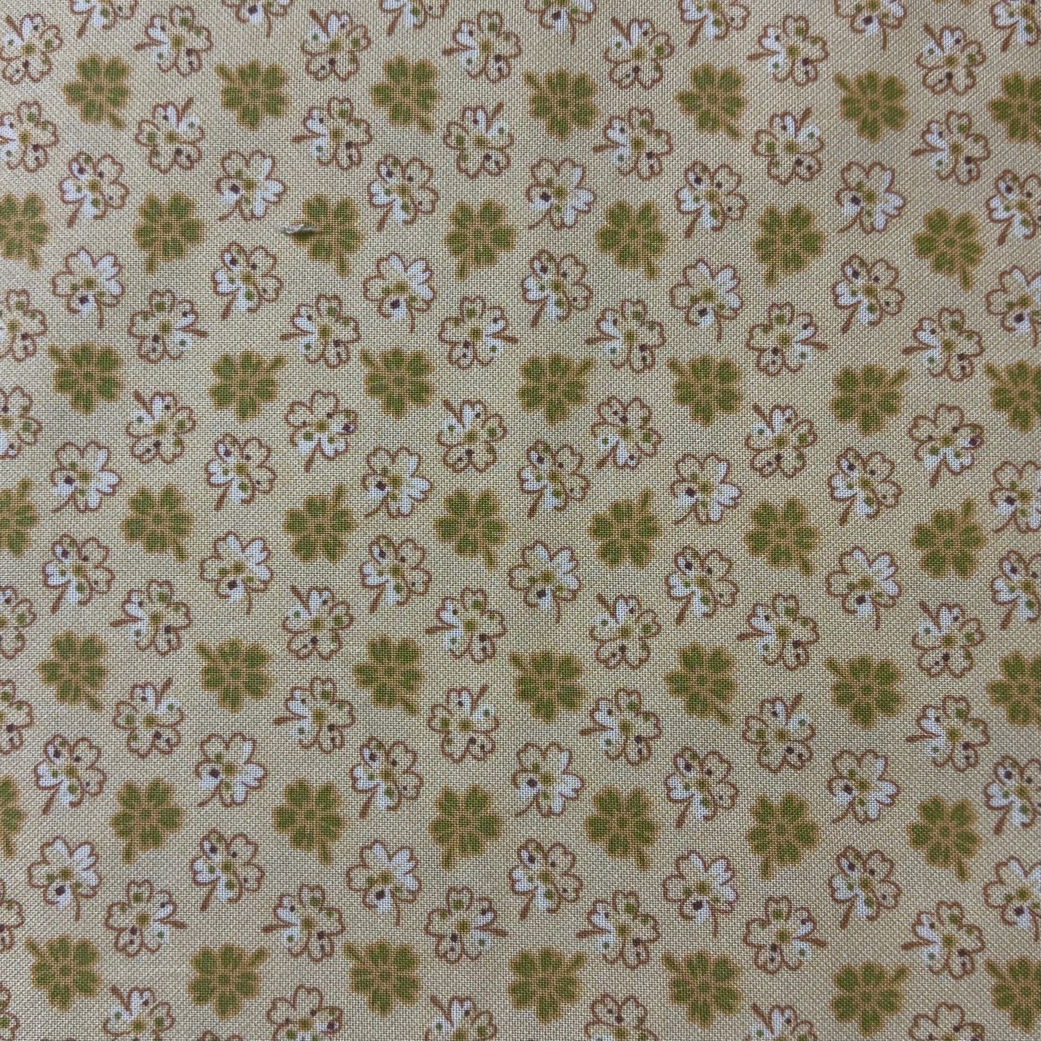 RJR Fabrics Jelly Beans 8833 001