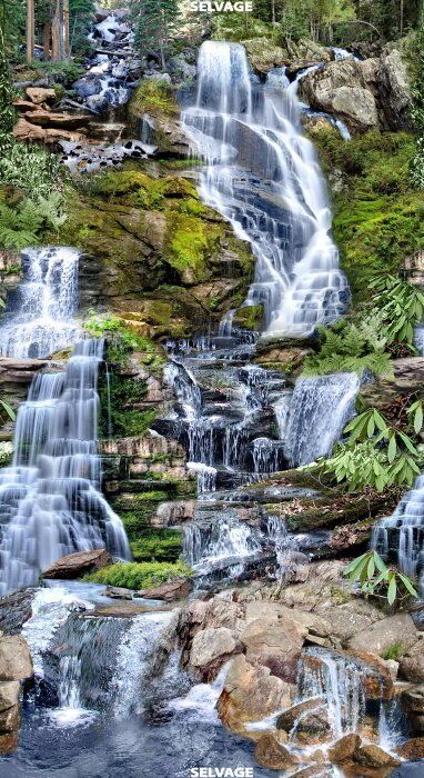 Timeless Treasures Waterfall Panel C6855 Multi