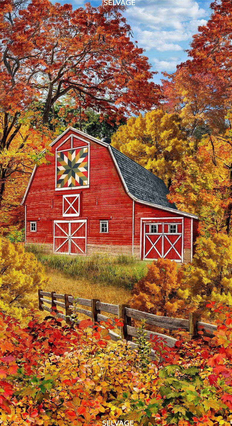 Timeless Treasures Panel C7093 Fall
