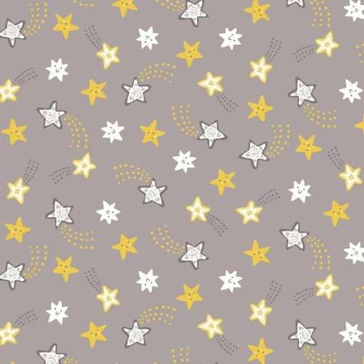 Michael Miller Big Star CX10088-GRAY-D