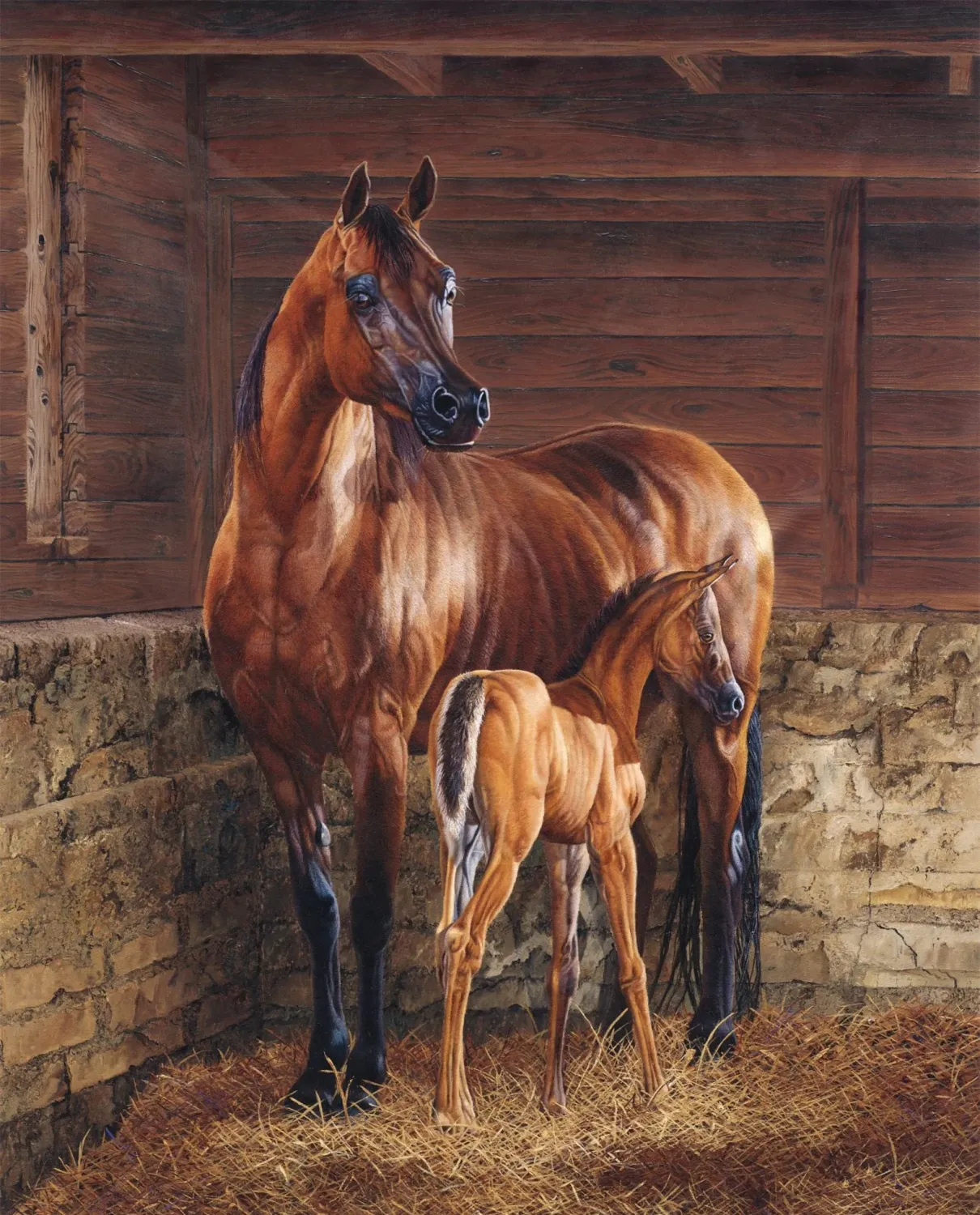 David Textiles And God Created A Horse Panel AL-6229-3C 1 Multi