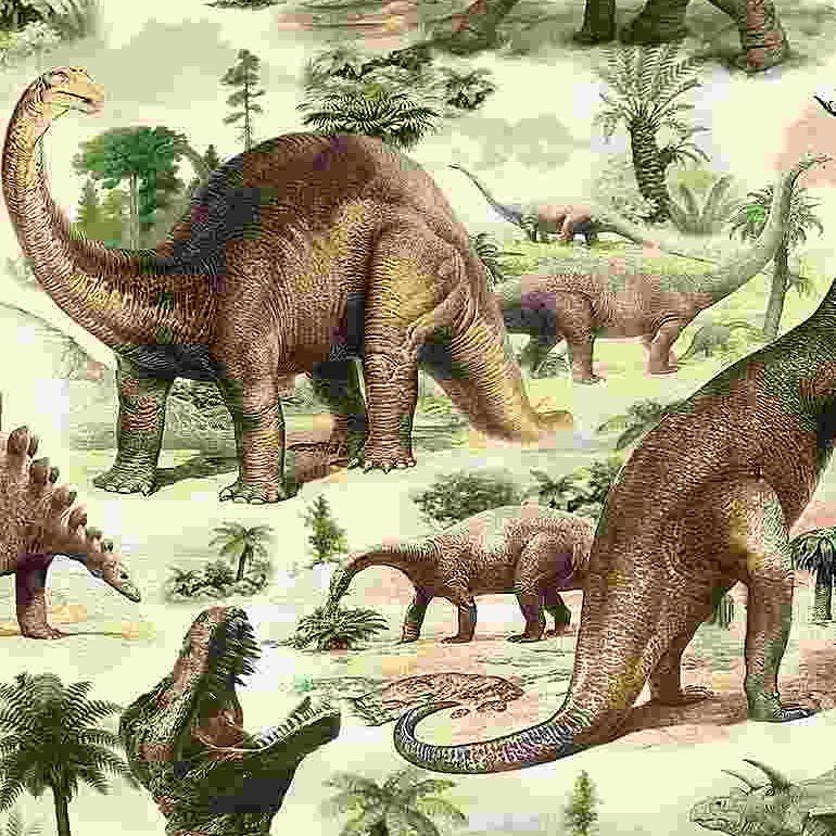 Timeless Treasures Dino C7816 Multi