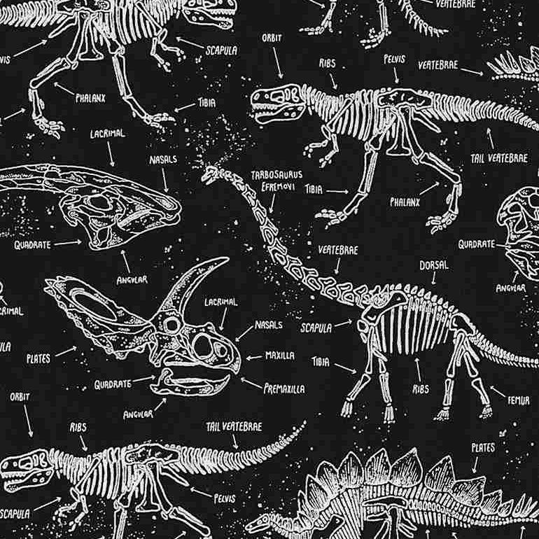Timeless Treasures Dino Glow Dino CG5797 Black