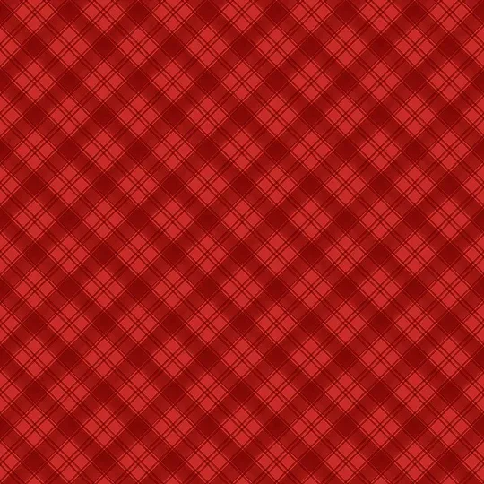 Wilmington Cardinal Celebration 37760 333