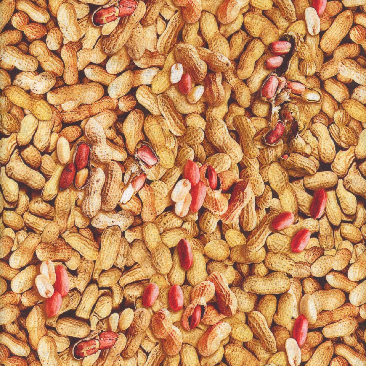 Benartex Ale House In-Shell Peanuts Natural