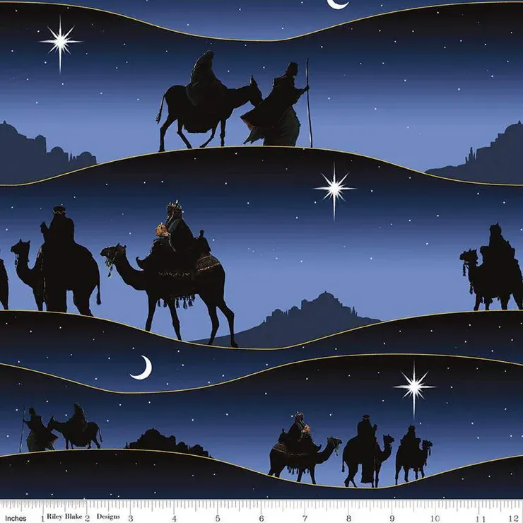 Riley Blake Picture A Christmas CD12379 Navy