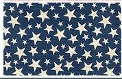 Studio E Fabrics Pieces Of America # 73 Blue With Small White Stars